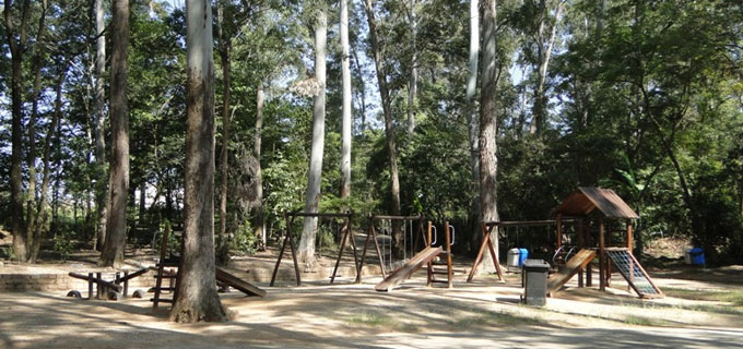 Parque Natural Chico Mendes 1