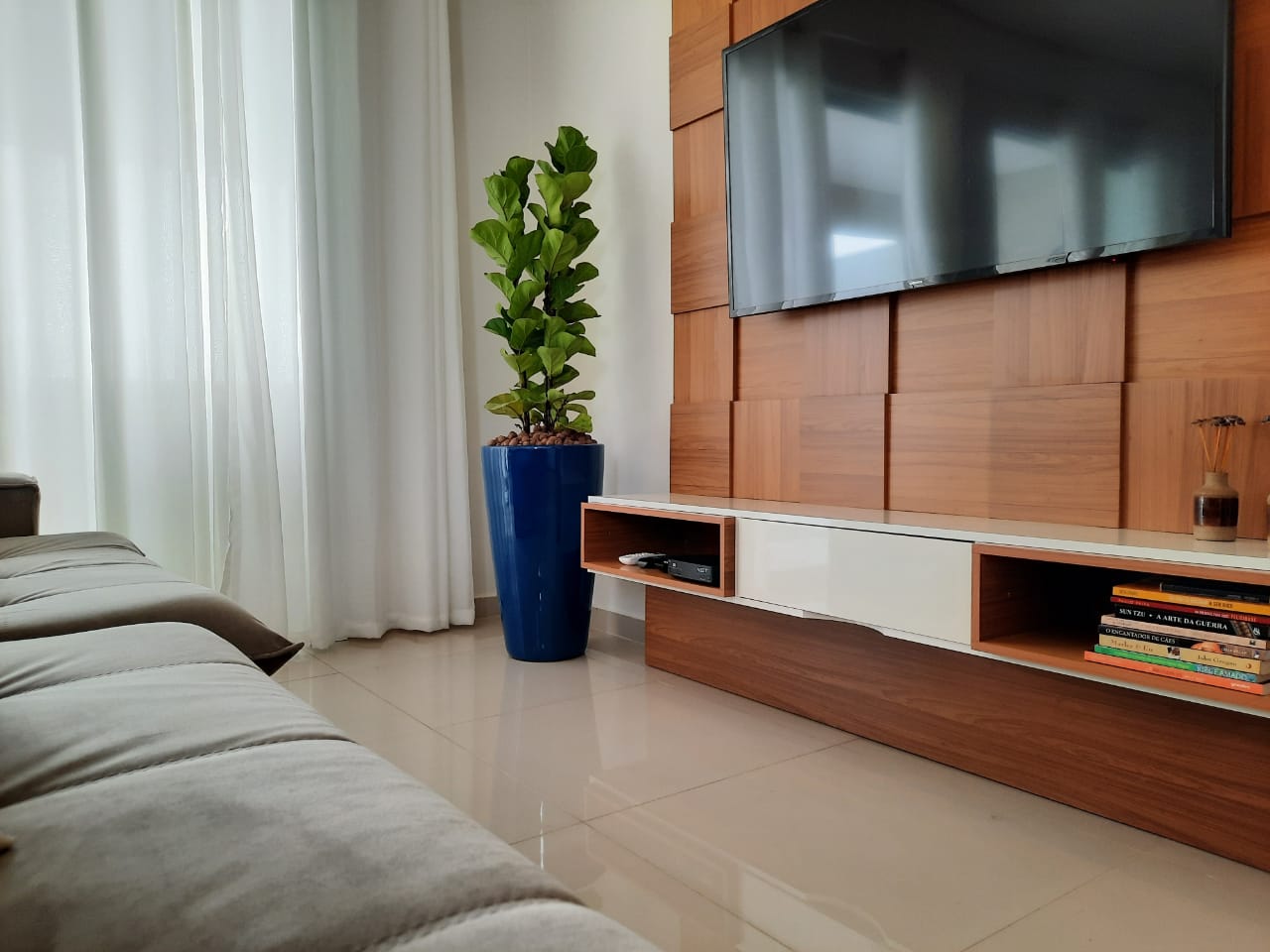 Plantas para dentro de casa: Ficus lyrata vira "a nova queridinha da internet" Ficus lyrata 03