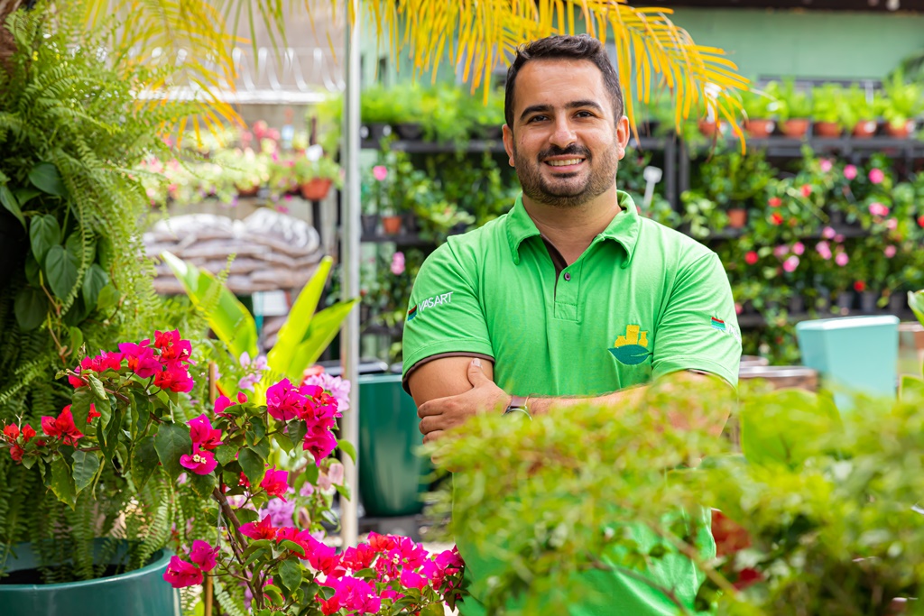 Plantas para dentro de casa: Ficus lyrata vira "a nova queridinha da internet" Ficus lyrata 04