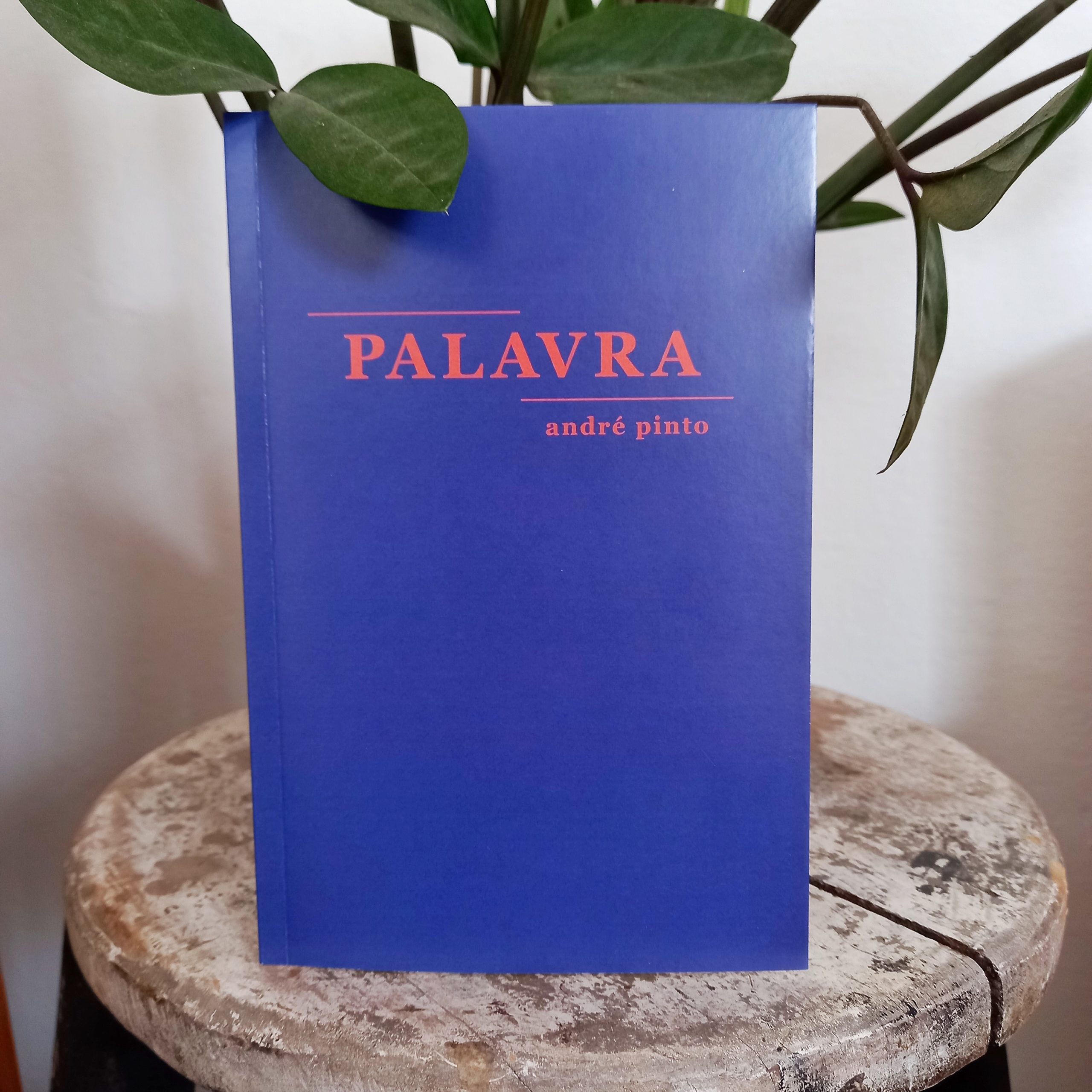 Poeta e fotógrafo André Pinto lança "Palavra", seu primeiro livro físico 20210926 121542 01 scaled