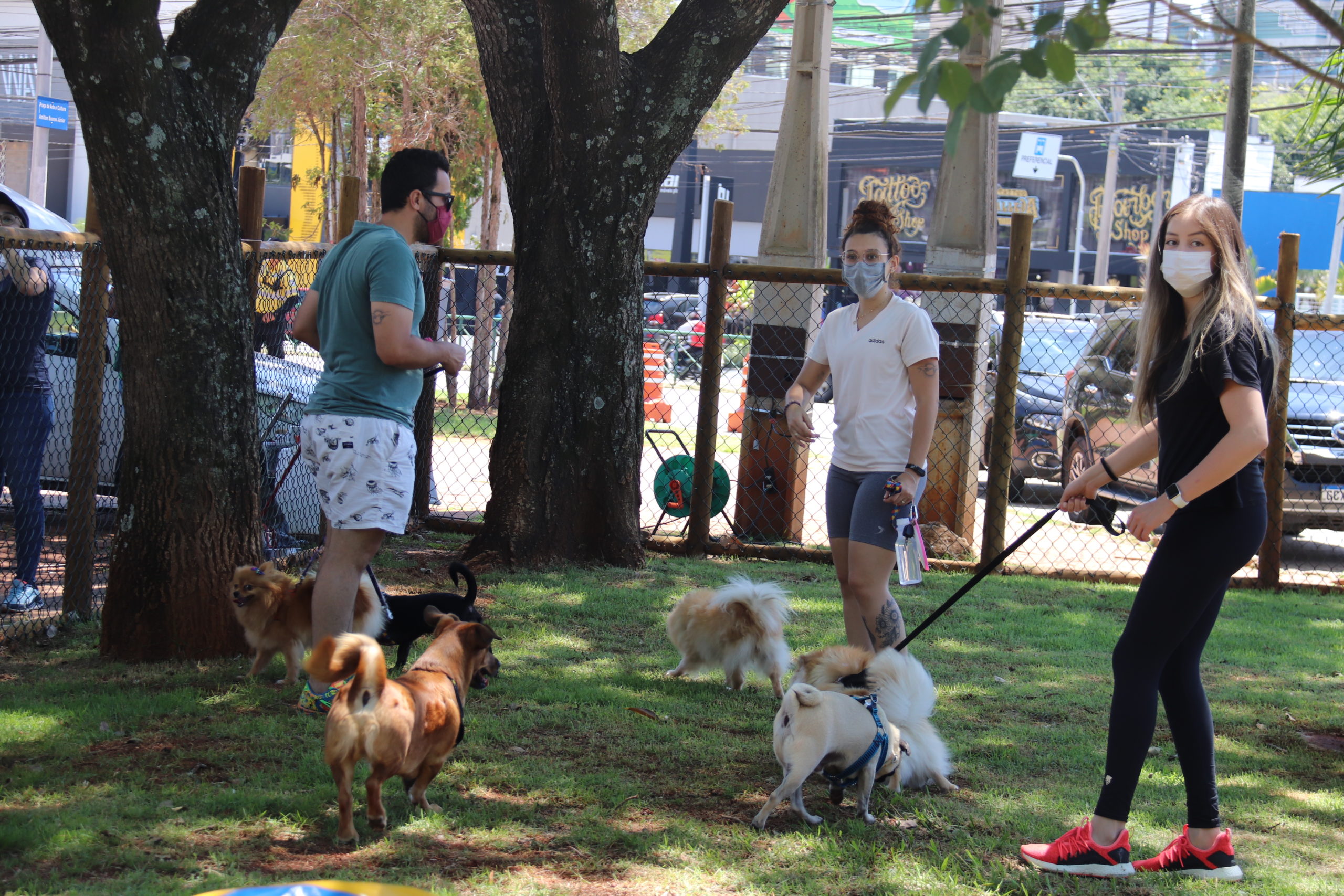 Pet Place é inaugurado no Parque “Carlos Alberto de Souza” no Campolim noticias.sorocaba.sp .gov .br primeiro pet place e inaugurado no parque carlos alberto de souza no campolim img 8073 scaled