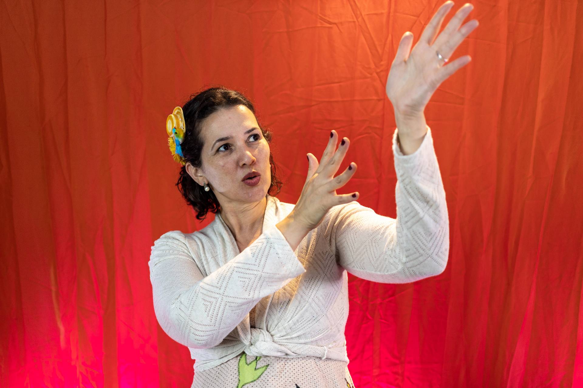 Narracao de Historias Credito Rogener Pavinski