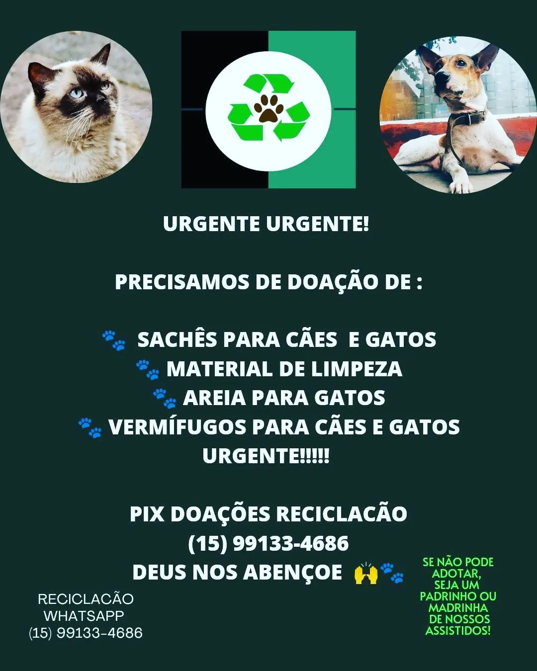 Projeto ReciclaCão aceita doações de rações para pets em Sorocaba: Saiba como ajudar RECICLACAO