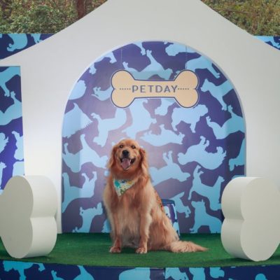 Terceira edição do Pet Day será realizada no Iguatemi Esplanada de 14 a 16 de outubro pet day 2