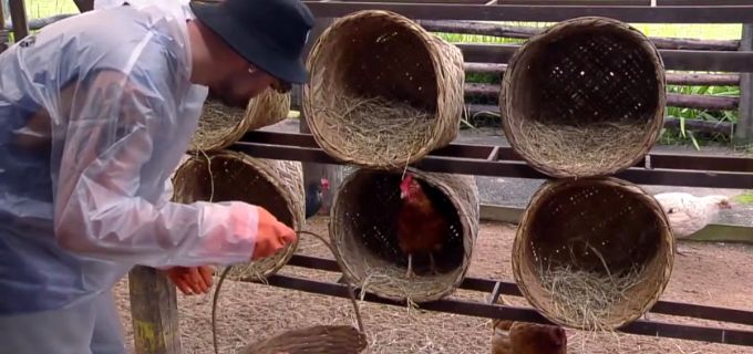 Veja dicas de reality shows para maratonar nos streamings a fazenda record 1