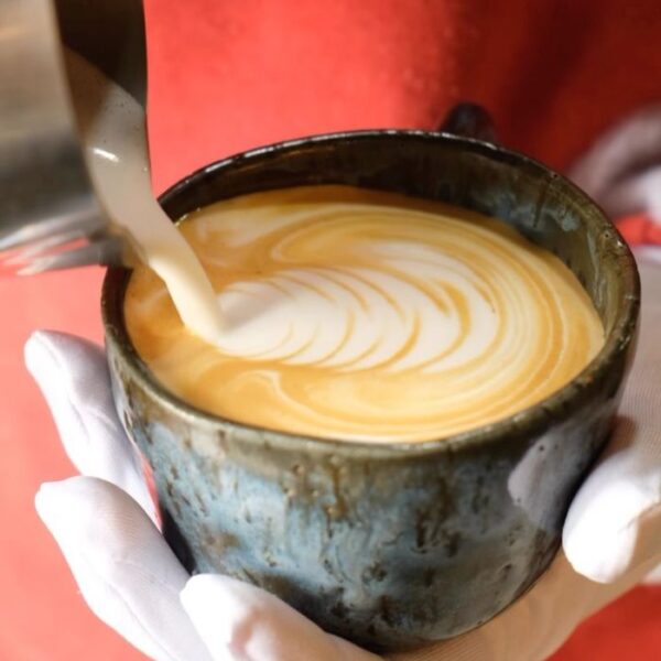 santa crema