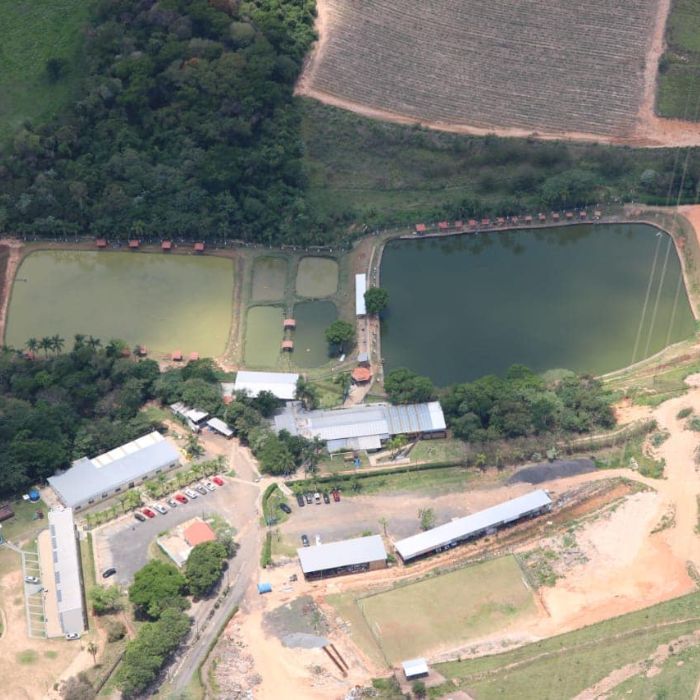 Saiba onde encontrar pesqueiros na região de Sorocaba boitupesca 2