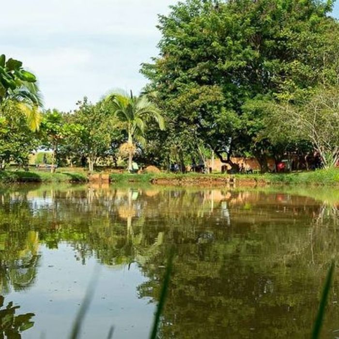 Saiba onde encontrar pesqueiros na região de Sorocaba pesqueiro matheus