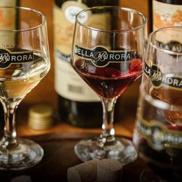 Dicas de vinícolas e adegas para conhecer na região de Sorocaba vinhos bella aurora 2