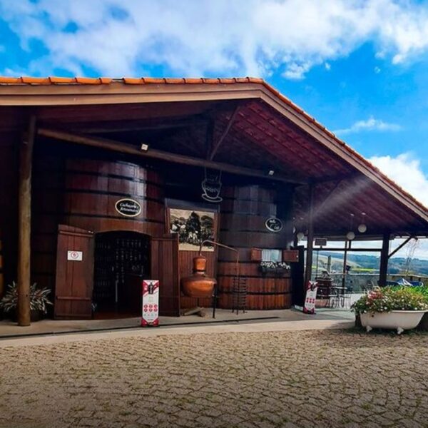 Dicas de vinícolas e adegas para conhecer na região de Sorocaba vinhos bella aurora