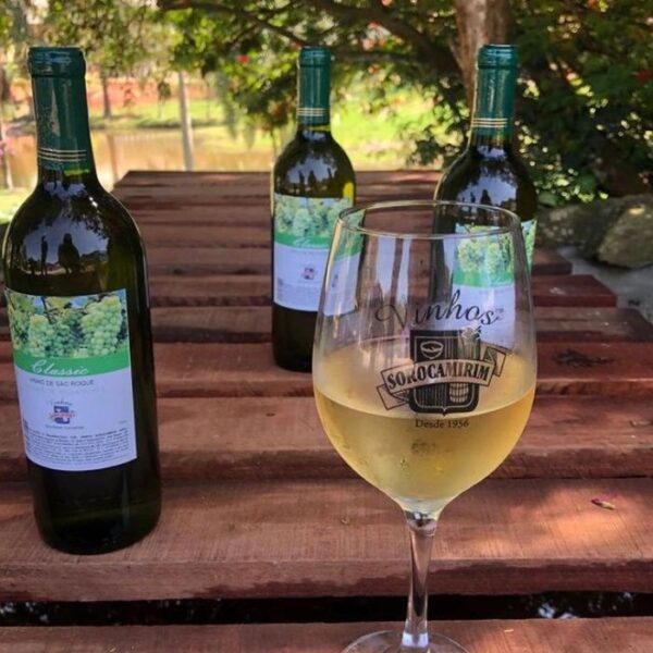 Dicas de vinícolas e adegas para conhecer na região de Sorocaba vinhos sorocamirim 2