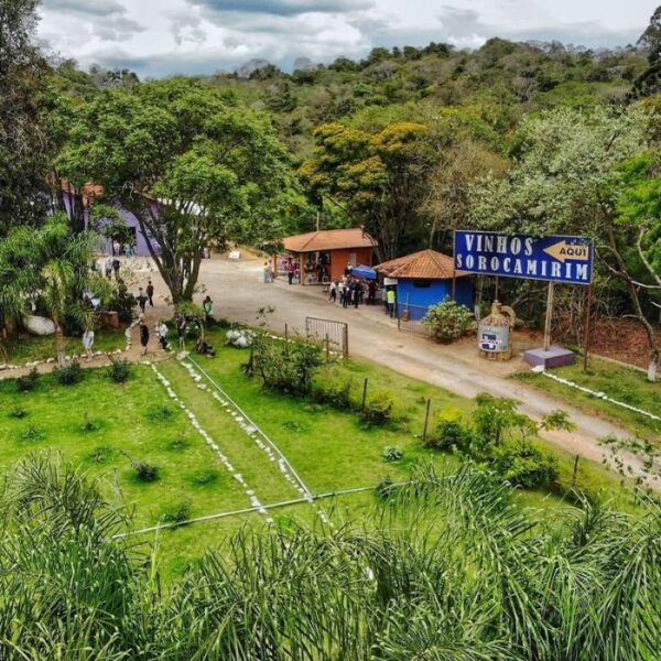 Dicas de vinícolas e adegas para conhecer na região de Sorocaba vinhos sorocamirim