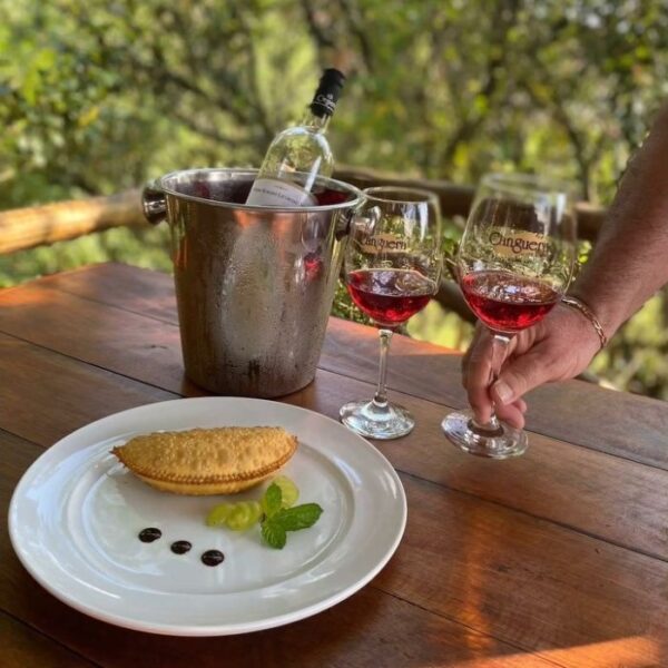 Dicas de vinícolas e adegas para conhecer na região de Sorocaba vinicola canguera 2