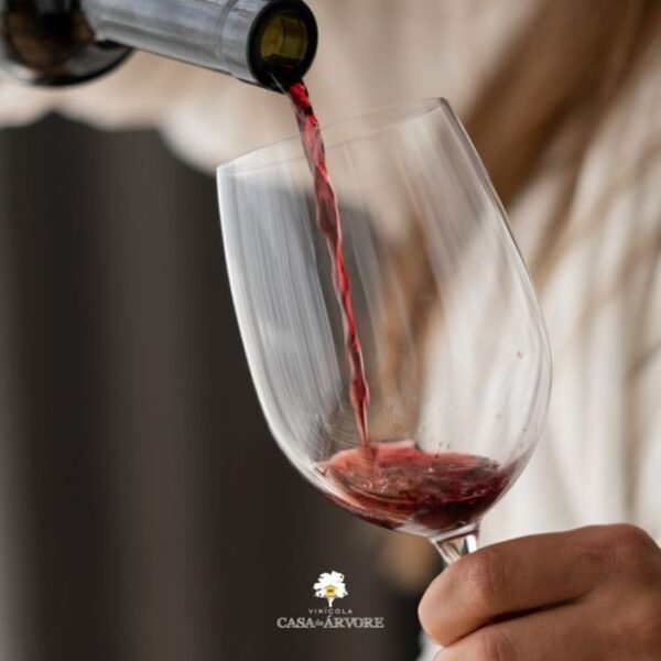 Dicas de vinícolas e adegas para conhecer na região de Sorocaba vinicola casa da arvore 2