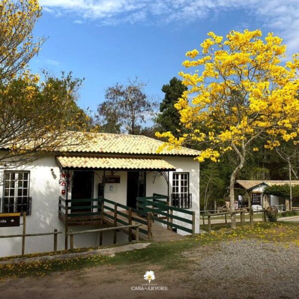 Dicas de vinícolas e adegas para conhecer na região de Sorocaba vinicola casa da arvore