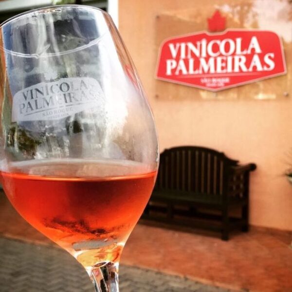 Dicas de vinícolas e adegas para conhecer na região de Sorocaba vinicola palmeiras 2