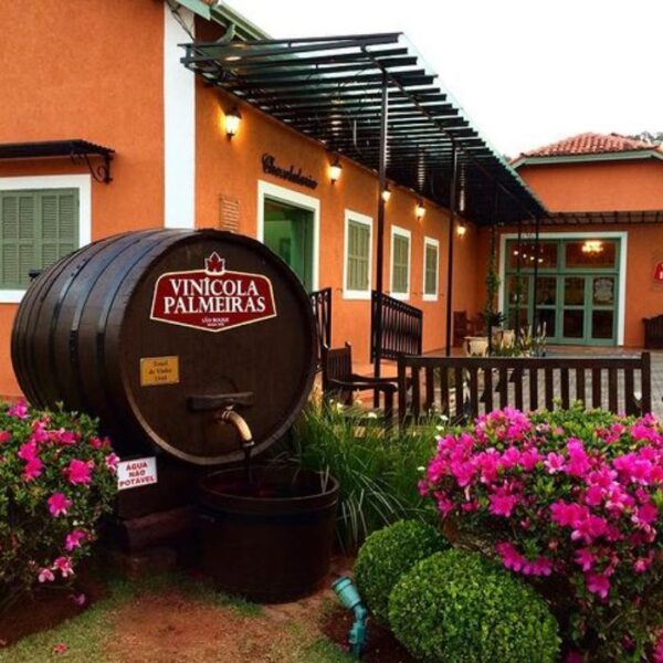 Dicas de vinícolas e adegas para conhecer na região de Sorocaba vinicola palmeiras