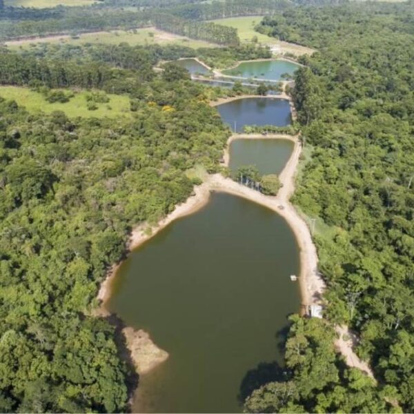 Parque de Itu (SP) possui um dos maiores jardins japoneses do Brasil com 27.500 m² de área Maeda pesqueiro site