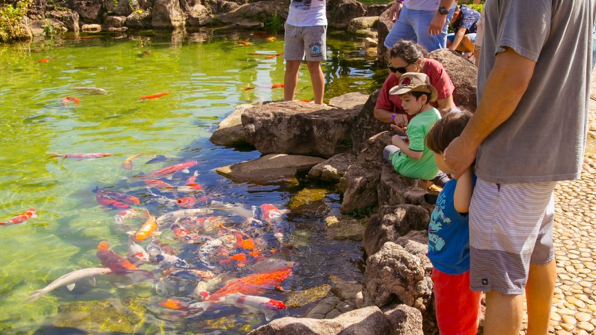 Parque Maeda oferece estrutura e lazer para famílias com bebês e crianças pequenas Maeda 02