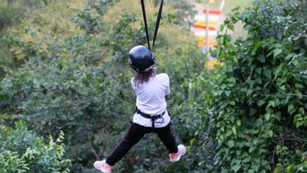 Parque dos Dinossauros do Brasil - Sesi Votorantim tirolesa dinossauro