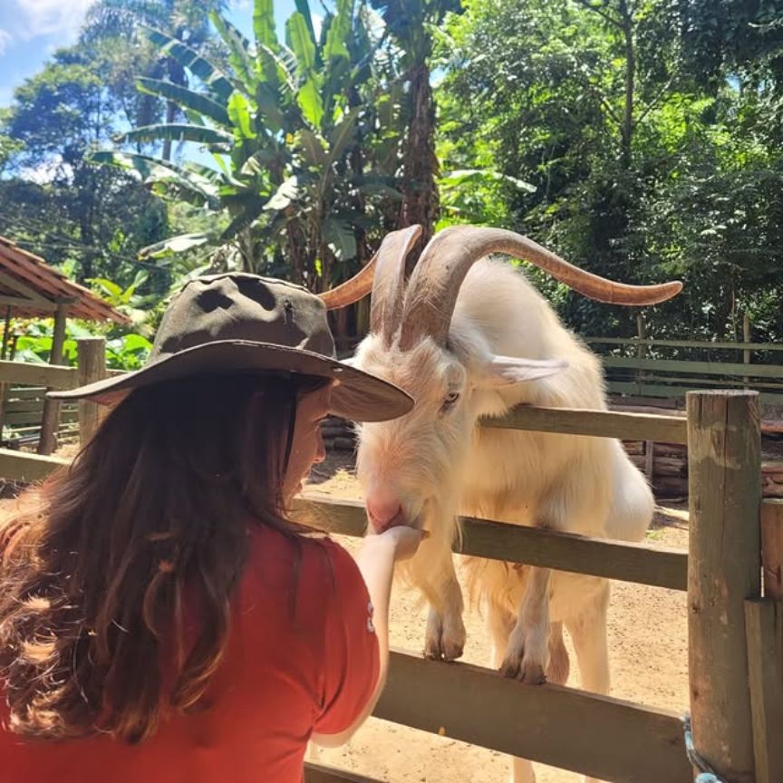 Onde turistar em São Roque: dicas de itinerários para o fim de semana fazenda angolana