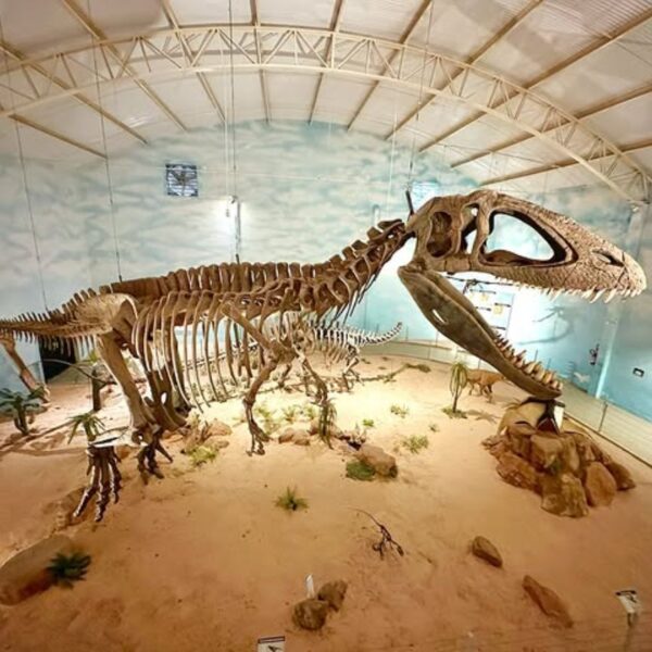 Dia dos Pais: destinos para cada tipo de pai no interior de SP zoo itatiba 2