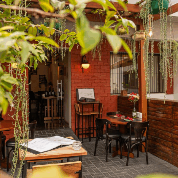 O que fazer no Mangal: veja dicas de bares, restaurantes e mais lugares legais cucina del capo12