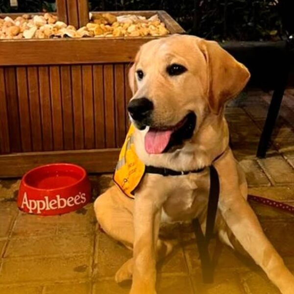 applebees petfriendly