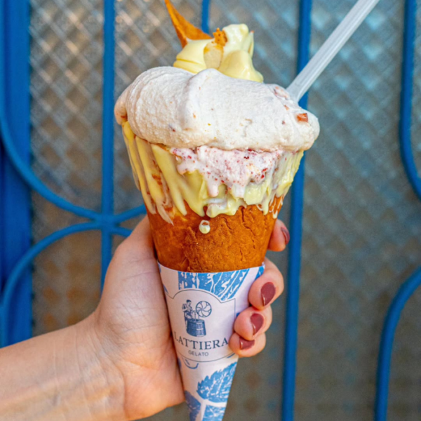 lattiera gelato galeria 3