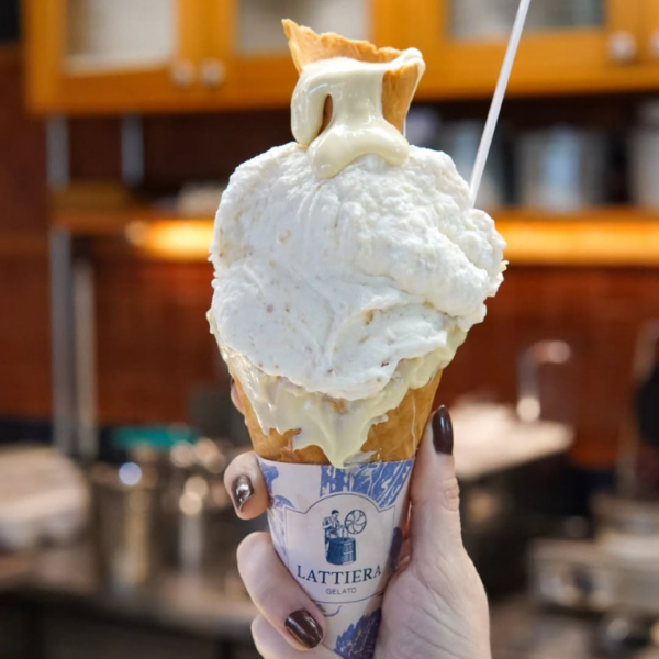 lattiera gelato galeria 4
