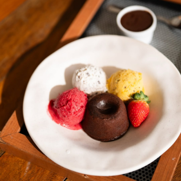 lattiera gelato galeria