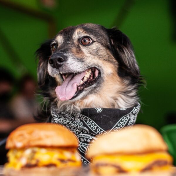 ocaburguer petfriendly