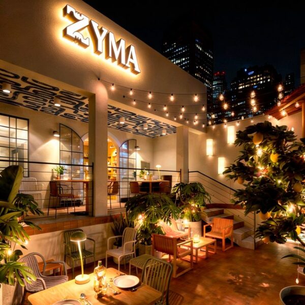 zyma 1